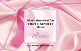 Dia contra el cancer de mama